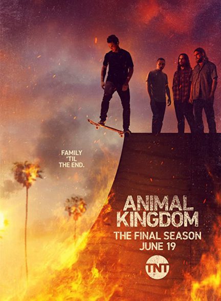 دانلود سریال Animal Kingdom